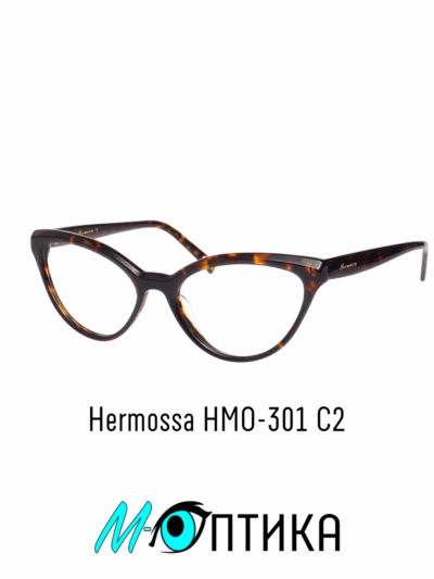 Oprawka okularowa Hermossa HMO-301 C2